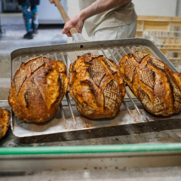 Maison Lamour bordeaux Judaïque - Les pains